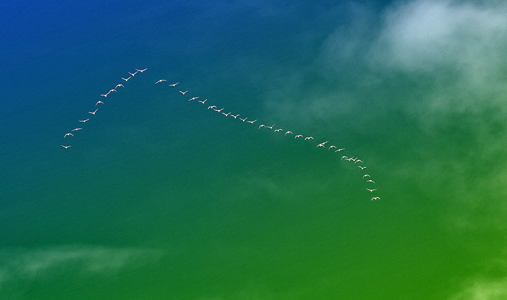 或一字、或人字。。。。。。