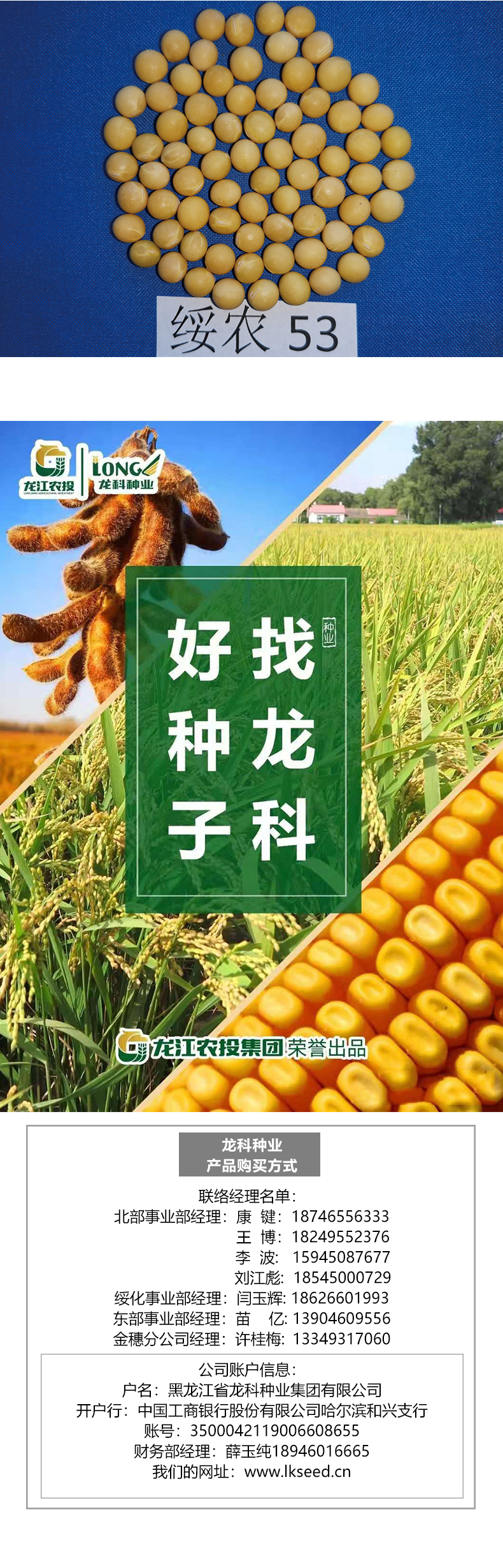 綏農(nóng)53產(chǎn)品詳情_(kāi)03.jpg