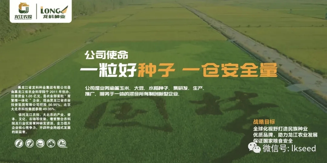 1590471695675384.jpg 640.webp.jpg